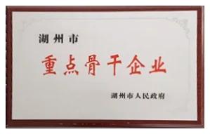 湖州市重点骨干企业