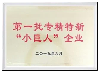 小巨人企业