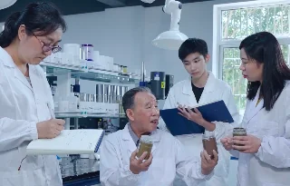 配方设计